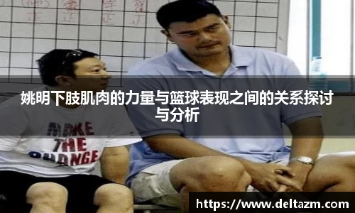 姚明下肢肌肉的力量与篮球表现之间的关系探讨与分析