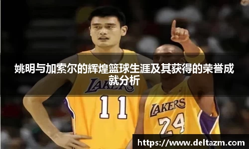 姚明与加索尔的辉煌篮球生涯及其获得的荣誉成就分析